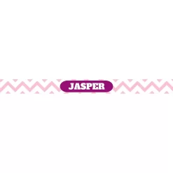 Frisco Personalized Chevron Ceramic Dog & Cat Bowl -Frisco 306760 PT2. AC SS1800 V1635968780