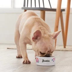 Frisco Personalized Rustic Ceramic Dog & Cat Bowl -Frisco 306763 PT4. AC SS1800 V1639518086