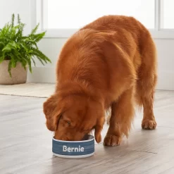 Frisco Personalized Heathered Ceramic Dog Bowl, 4.75-cup, 38oz -Frisco 306767 PT4. AC SS1800 V1639518089