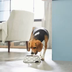 Frisco Moroccan Design Stainless Steel Dog & Cat Bowl -Frisco 311963 PT2. AC SS1800 V1642542922