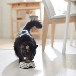 Frisco Moroccan Design Stainless Steel Dog & Cat Bowl -Frisco 311963 PT3. AC SS1800 V1642542386