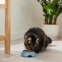 Frisco Coral Design Stainless Steel Dog & Cat Bowl -Frisco 311972 PT3. AC SS1800 V1642542435