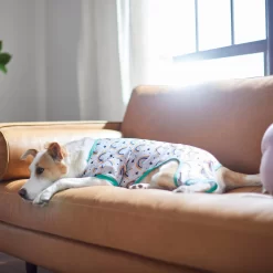 Frisco Rainbow Dog & Cat PJs -Frisco 312283 PT8. AC SS1800 V1644879887