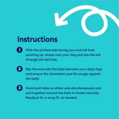 Frisco Washable Female Diaper 10 Frisco Washable Female Diaper -Frisco 315702 PT4. AC SS1800 V1699297906