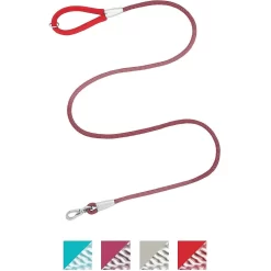 Frisco Outdoor Comfort Print Nylon Padded Dog Collar & Frisco Outdoor Ultra Reflective Rope Leash With Padded Handle -Frisco 319066 PT5. AC SS1800 V1631157395