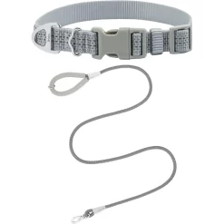 Frisco Outdoor Ultra Reflective Nylon Dog Collar & Frisco Outdoor Ultra Reflective Rope Leash With Padded Handle