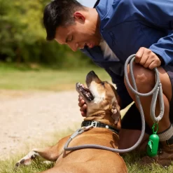 Frisco Outdoor Ultra Reflective Nylon Dog Collar & Frisco Outdoor Ultra Reflective Rope Leash With Padded Handle -Frisco 319102 PT8. AC SS1800 V1631138801