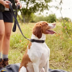 Frisco Outdoor Premium Ripstop Nylon Dog Harness With Pocket & Frisco Outdoor Nylon Reflective Comfort Padded Dog Leash 17 Frisco Outdoor Premium Ripstop Nylon Dog Harness With Pocket & Frisco Outdoor Nylon Reflective Comfort Padded Dog Leash -Frisco 319306 PT8. AC SS1800 V1631161603