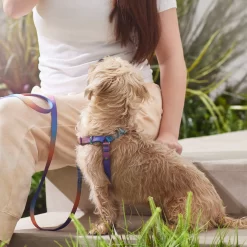 Frisco Purple Ombre Style Dog Harness -Frisco 324526 PT4. AC SS1800 V1642518470