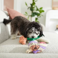 Frisco Mother's Day Rose & Heart Plush Squeaky Dog Toy, 2 Count -Frisco 327033 PT3. AC SS1800 V1646947953