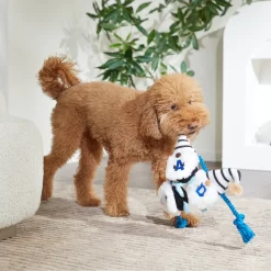 Frisco Dad Gnome Plush With Rope Dog Toy -Frisco 327053 PT3. AC SS1800 V1648667286