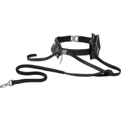 Frisco Outdoor Running Belt With Bungee Dog Leash
