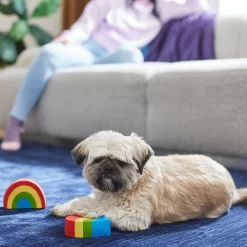 Frisco Pride Rainbow & Heart Latex Squeaky Dog Toy, 2 Count 5 Frisco Pride Rainbow & Heart Latex Squeaky Dog Toy, 2 Count -Frisco 331632 PT3. AC SS1800 V1647355825