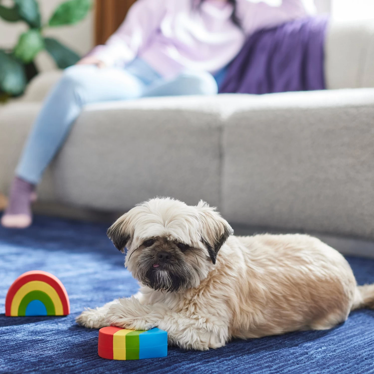 Frisco Pride Rainbow & Heart Latex Squeaky Dog Toy, 2 Count 3 Frisco Pride Rainbow & Heart Latex Squeaky Dog Toy, 2 Count - Image 3