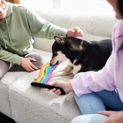 Frisco Pride Flag Flat Squeaky Dog Toy 5 Frisco Pride Flag Flat Squeaky Dog Toy -Frisco 331640 PT3. AC SS1800 V1647355852