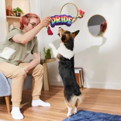 Frisco Pride Plush With Rope Squeaky Dog Toy 5 Frisco Pride Plush With Rope Squeaky Dog Toy -Frisco 331661 PT3. AC SS1800 V1647356002