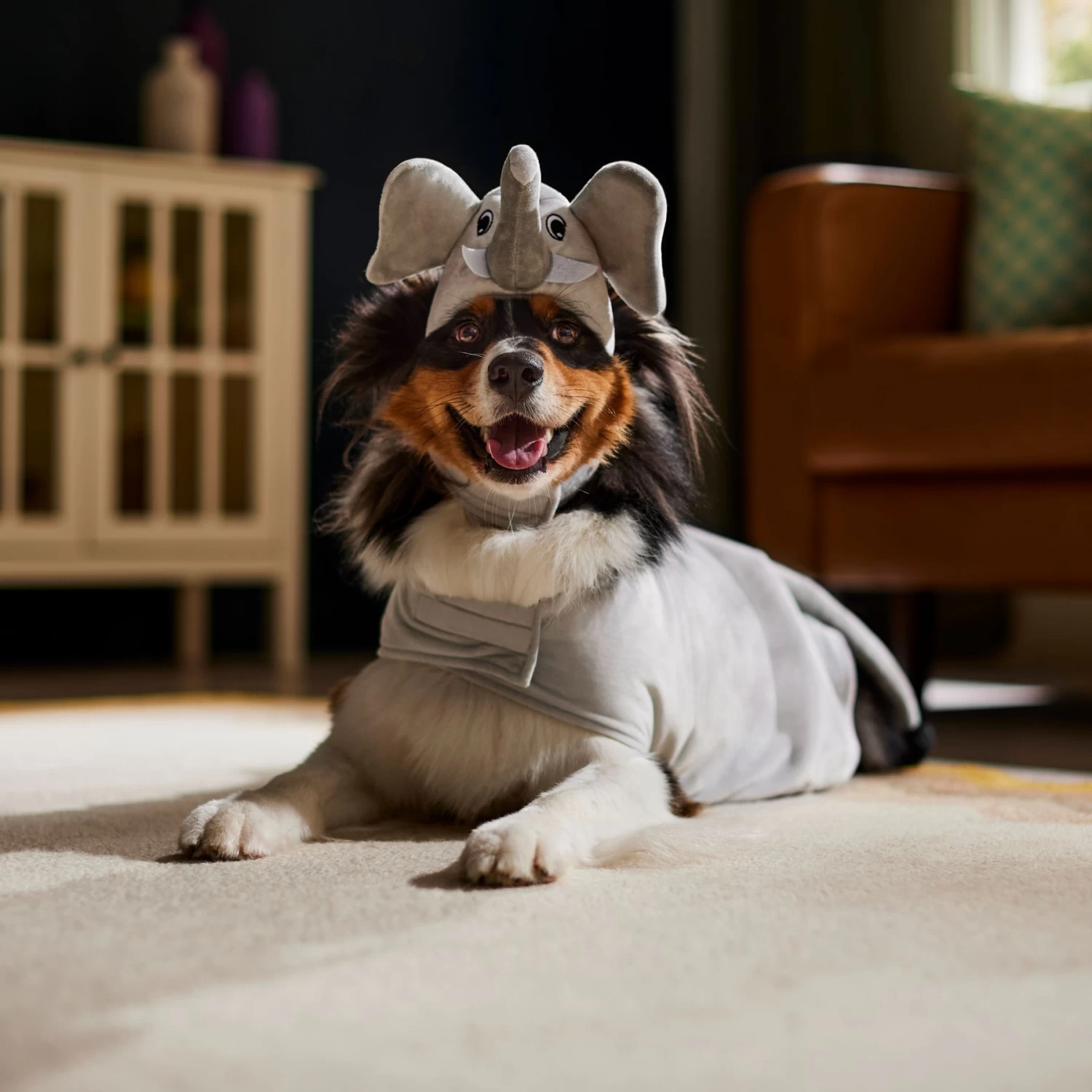Frisco Elephant Dog & Cat Costume 6 Frisco Elephant Dog & Cat Costume - Image 6