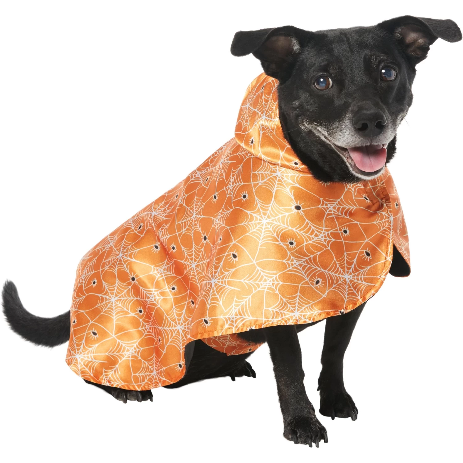 Frisco Spider Webbed Dog & Cat Costume Cape 1 Frisco Spider Webbed Dog & Cat Costume Cape
