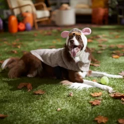 Frisco Hedgehog Dog & Cat Costume -Frisco 334990 PT7. AC SS1800 V1657732628