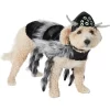 Frisco Spider Dog & Cat Costume