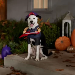 Frisco Front Walking Punk Rocker Dog & Cat Costume 14 Frisco Front Walking Punk Rocker Dog & Cat Costume -Frisco 335087 PT7. AC SS1800 V1657732627