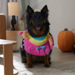 Frisco Front Walking Workout Girl Dog & Cat Costume -Frisco 335111 PT7. AC SS1800 V1657656881