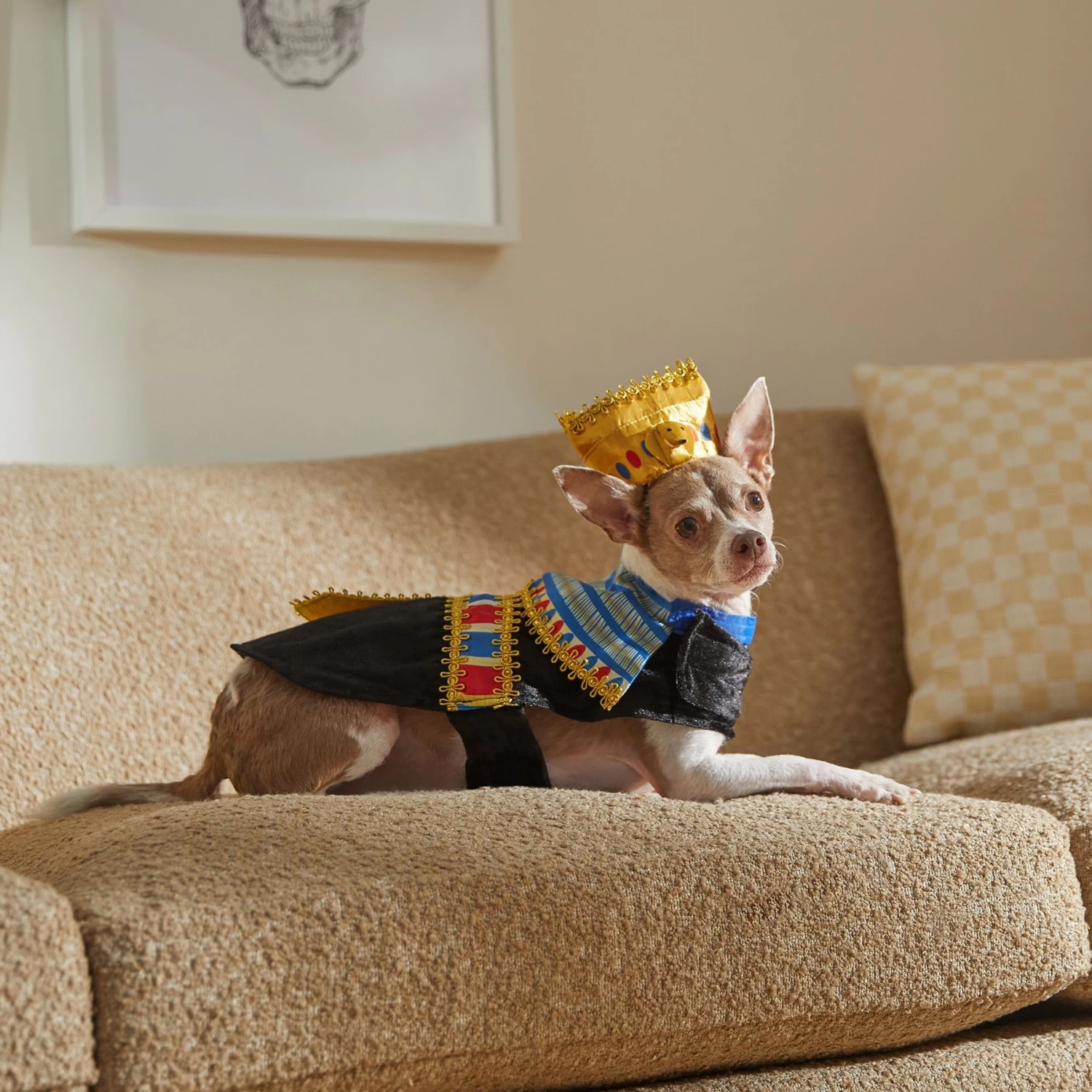 Frisco Royal Pharoah Dog & Cat Costume 7 Frisco Royal Pharoah Dog & Cat Costume - Image 7
