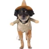Frisco Front Walking Scarecrow Dog & Cat Costume