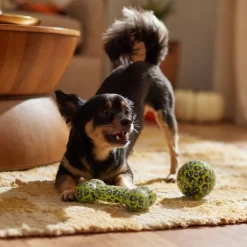 Frisco Halloween Glow In The Dark TPR Squeaky Bone & Ball Dog Toy -Frisco 344130 PT3. AC SS1800 V1657657042