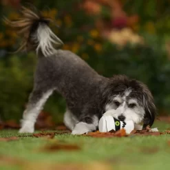 Frisco Halloween Mummy Latex Squeaky Dog Toy 6 Frisco Halloween Mummy Latex Squeaky Dog Toy -Frisco 344140 PT3. AC SS1800 V1657657042