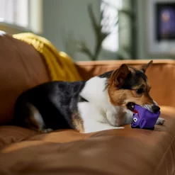 Frisco Halloween Vampire Latex Squeaky Dog Toy -Frisco 344166 PT3. AC SS1800 V1657657049