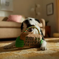 Frisco Halloween "Will Do Tricks For Treats" Sign Plush With Rope Squeaky Dog Toy -Frisco 344172 PT3. AC SS1800 V1657657049