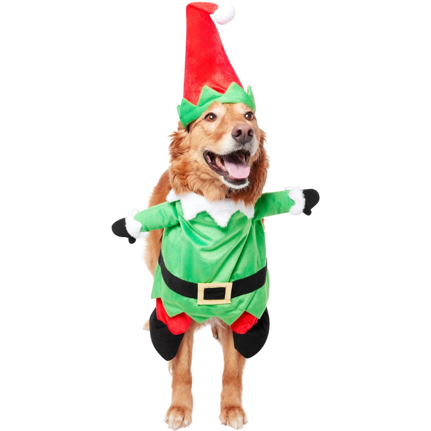 Frisco Front Walking Elf Dog & Cat Costume 4 Frisco Front Walking Elf Dog & Cat Costume - Image 4