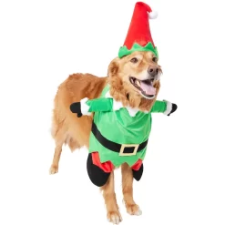 Frisco Front Walking Elf Dog & Cat Costume 13 Frisco Front Walking Elf Dog & Cat Costume -Frisco 357956 PT4. AC SS1800 V1660757458