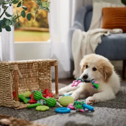 Frisco Small Breed Puppies Rope & TPR Variety Pack Puppy Toy -Frisco 358552 PT4. AC SS1800 V1669908588
