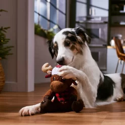 Frisco Holiday Cozy Moose Plush Squeaky Dog Toy -Frisco 360934 PT3. AC SS1800 V1661874193
