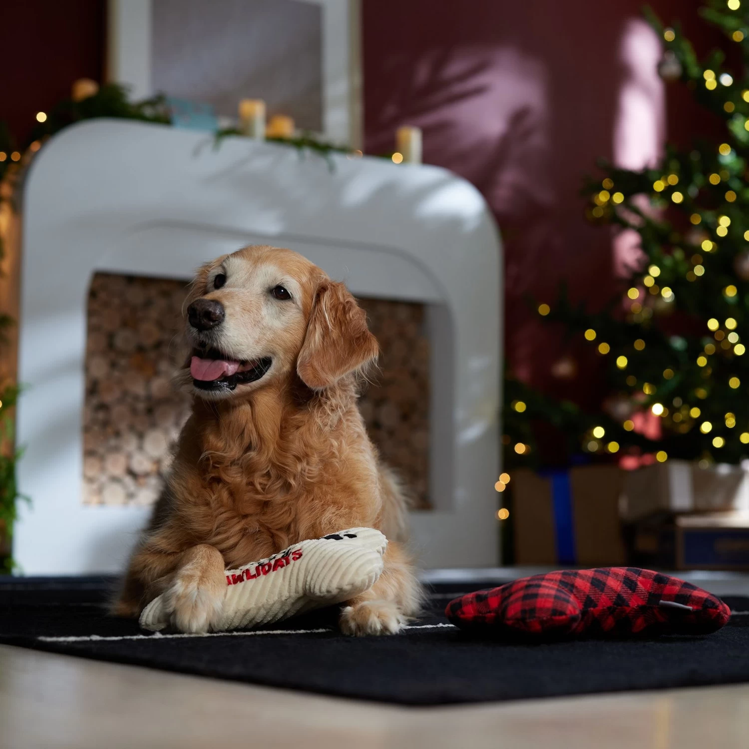 Frisco Holiday "Happy Pawlidays" Bone Plush Squeaky Dog Toy, Medium, 2 Count 3 Frisco Holiday "Happy Pawlidays" Bone Plush Squeaky Dog Toy, Medium, 2 Count - Image 3