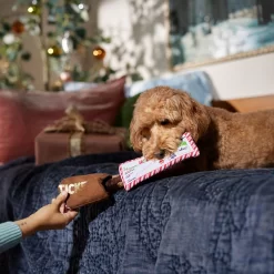 Frisco Holiday Home For The Holidays Airline Ticket Bungee Plush Squeaky Dog Toy 9 Frisco Holiday Home For The Holidays Airline Ticket Bungee Plush Squeaky Dog Toy -Frisco 360966 PT3. AC SS1800 V1661874362