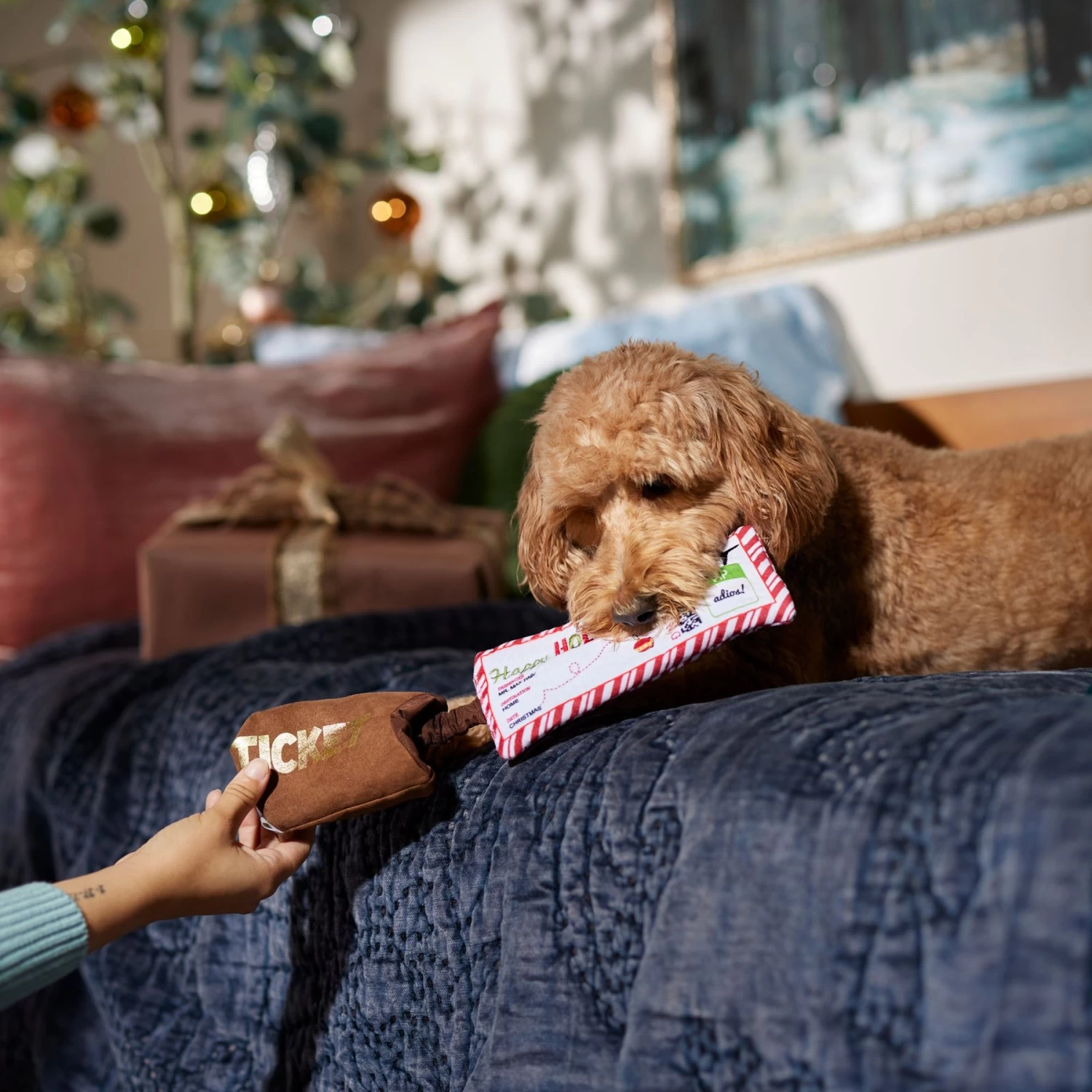 Frisco Holiday Home For The Holidays Airline Ticket Bungee Plush Squeaky Dog Toy 4 Frisco Holiday Home For The Holidays Airline Ticket Bungee Plush Squeaky Dog Toy - Image 4