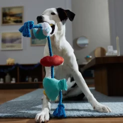 Frisco Hanukkah Celebration Plush With Rope Squeaky Dog Toy -Frisco 360986 PT3. AC SS1800 V1661874063