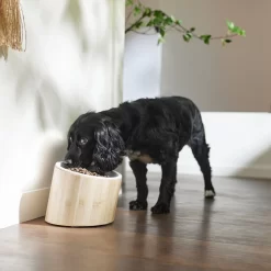 Frisco Elevated Slanted Bamboo Melamine Non-Skid Dog Bowl With Bamboo Stand -Frisco 363387 PT2. AC SS1800 V1657657267