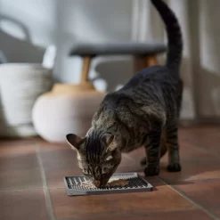 Frisco Non-skid Square Silicone Dog & Cat Lick Mat -Frisco 363402 PT3. AC SS1800 V1665170734