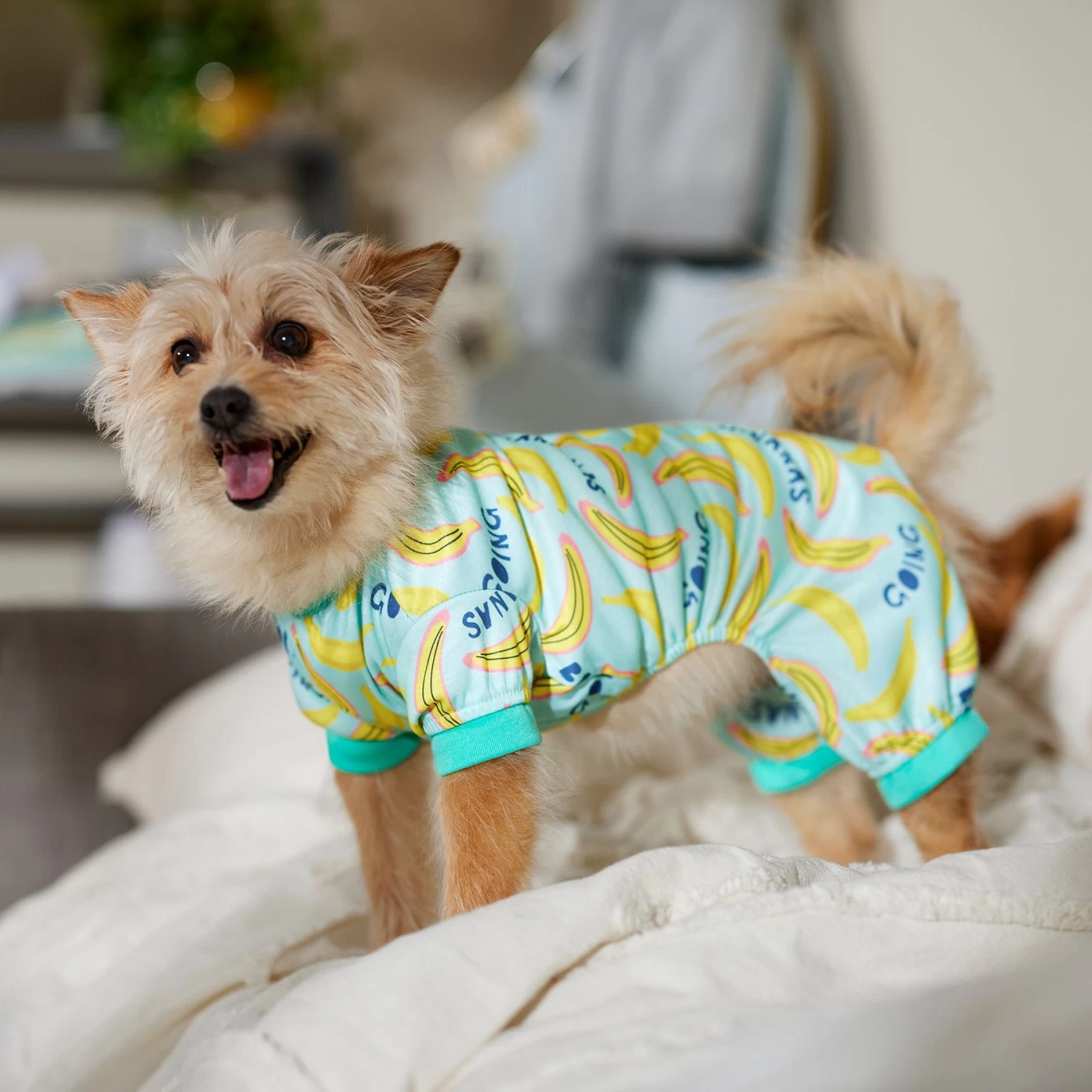 Frisco Go Bananas Dog & Cat Jersey PJs 5 Frisco Go Bananas Dog & Cat Jersey PJs - Image 5
