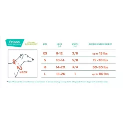 Frisco Orthopedic Pillow Cat & Dog Bed + 4 Items -Frisco 623758 PT6. AC SS1800 V1662741598