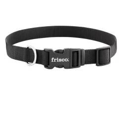 Frisco Solid Nylon Dog Leash + 4 Items -Frisco 623766 PT5. AC SS1800 V1662735841