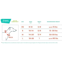 Frisco Solid Nylon Dog Leash + 4 Items -Frisco 623766 PT6. AC SS1800 V1662739135