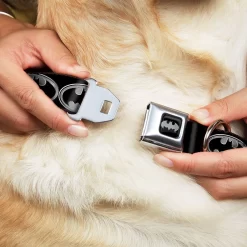 Frisco Bat Wings Dog & Cat Costume & Buckle-Down Batman Shield Polyester Dog Collar -Frisco 638566 PT6. AC SS1800 V1663254111