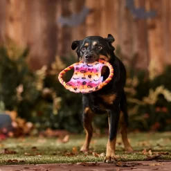 Frisco Halloween Ghost Swirl Fetch Flyer Dog Toy -Frisco 668294 PT3. AC SS1800 V1689278363