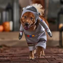 Frisco Front Walking LED Astronaut Dog & Cat Costume -Frisco 707630 PT7. AC SS1800 V1689278700