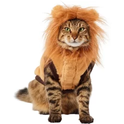 Frisco Lion Love Dog & Cat Costume -Frisco 708318 PT2. AC SS1800 V1689341486